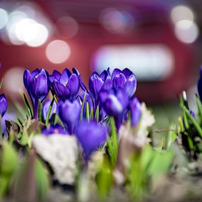 Frühjahrsputz für Ihren Wagen