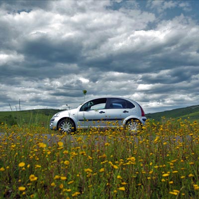 Sommerpflege für Ihren Wagen