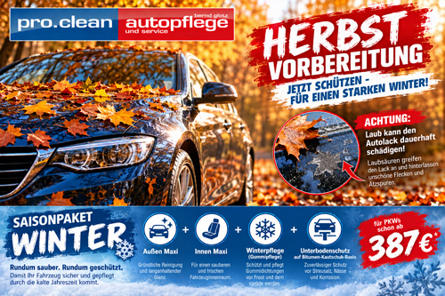 Herbstlaub auf Ihrem Fahrzeug