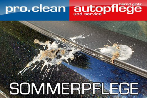 Sommerpflege für Ihr Fahrzeug